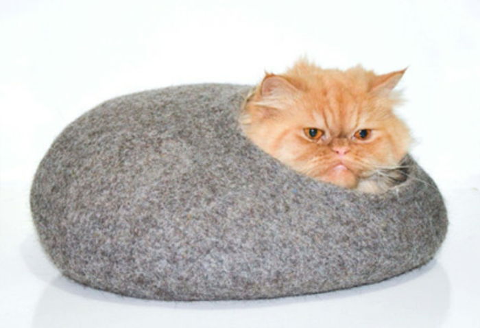 mačacie príslušenstvo -orange-cat-in-bed