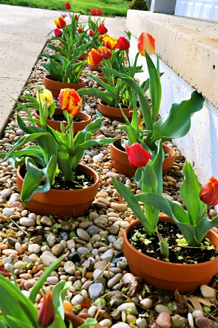 keramické kvetináče Tulipány Dekoračné kamenné záhrady vo vnútrobloku