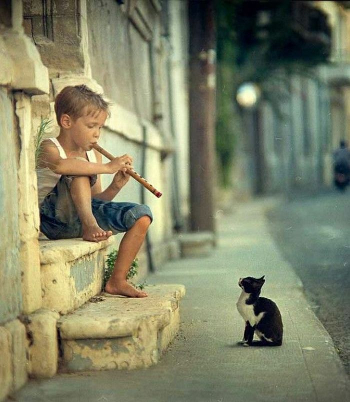 little-boy-flauta-playing Gato da rua