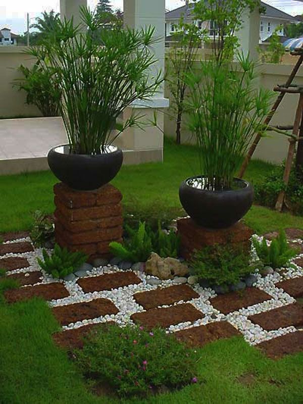 plante decorative verde ghiveci pentru gradina