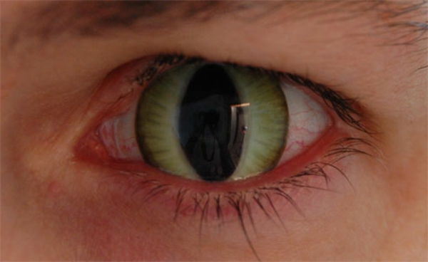 kontaktne leče-za-halloween-kot-v-oči-v-mačka