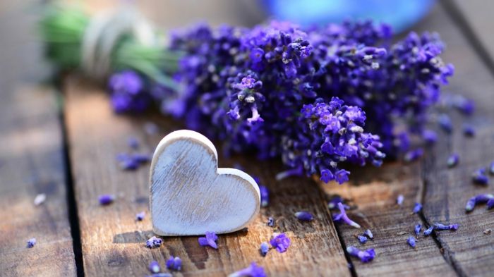 Levanda ir medžio širdis, violetinės spalvos tapetai, gamtos jausmas ir malonumas, puikus puokštė