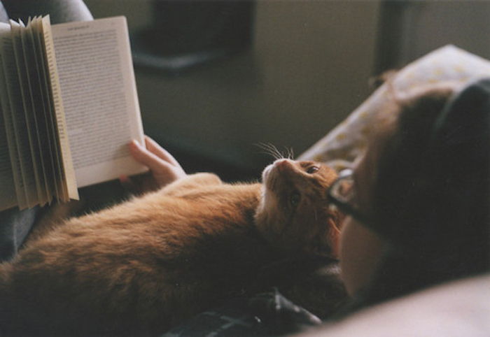 her er et bra natt bilde med en ung kvinne med briller, en bok og en sovende oransje katt