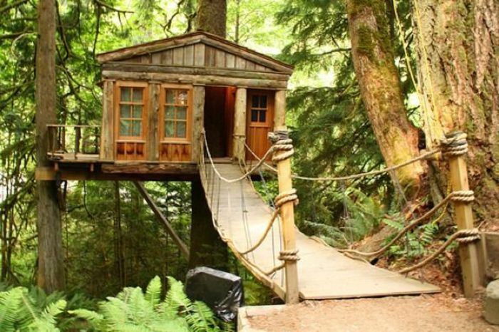 luxusným treehouse-a-bridge