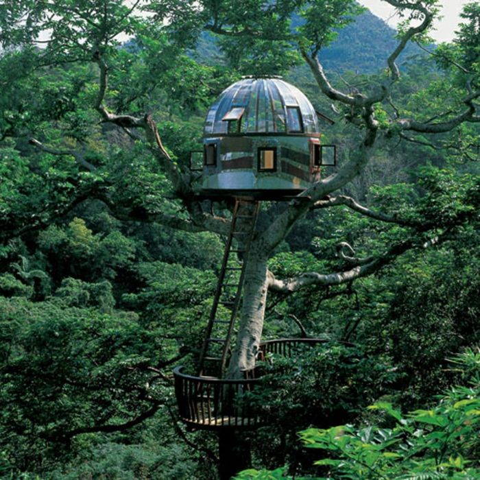 luxusným treehouse-zelené-stromy-moc-zaujímavé