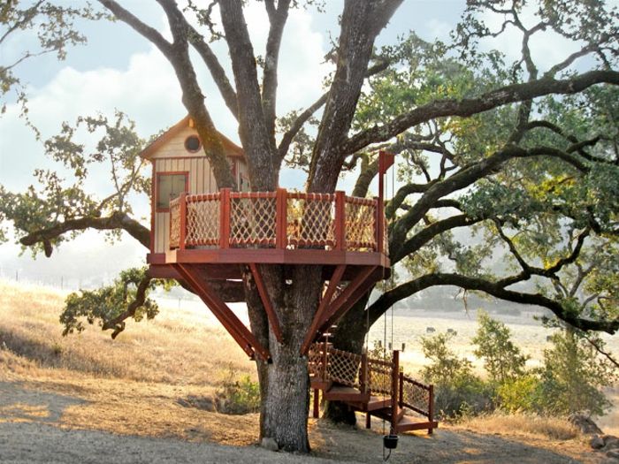 luxusným treehouse-big-strom