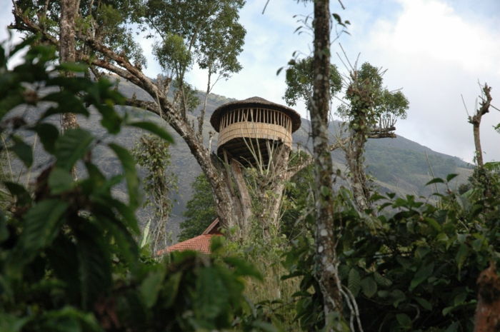 luxusným treehouse-krásnej prírode