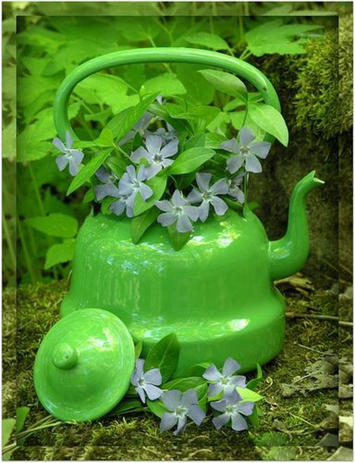 my-nádherné-Zahrádka kvetináč-of-kanvica na čaj-drotár