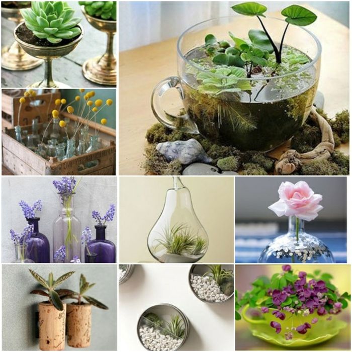 tinker med blomkrukor färgglada design idéer kopp som blomkruka använda vatten liljor flaskor kork dekoration