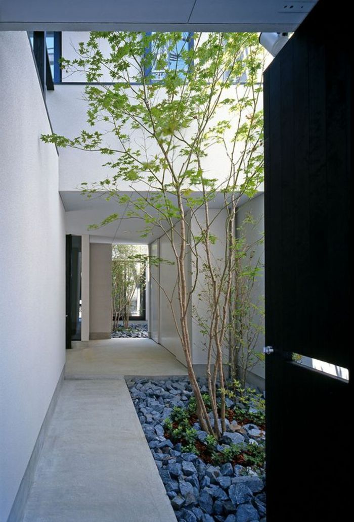 grå stenar, låga träd på en innergård - puristträdgård