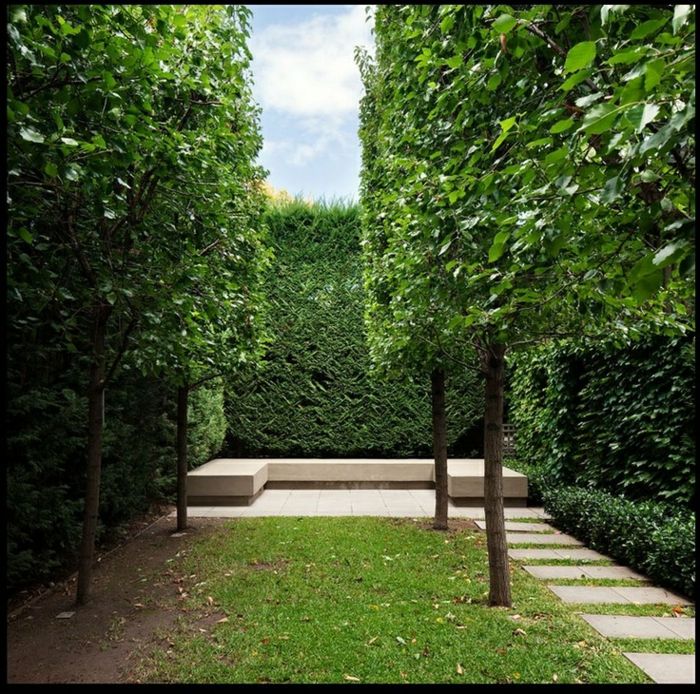 en grønn moderne hage med trær og skjermer fra hekk, sittegruppe