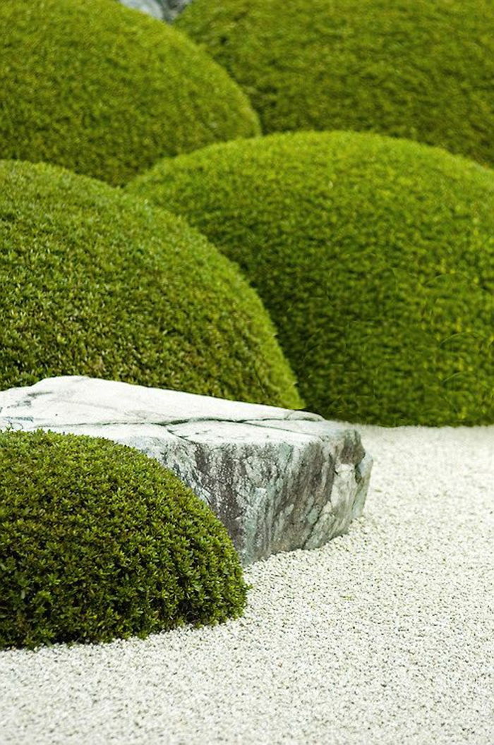 roko sodas su samanomis ir žvyru kaip grindų danga - sodo dizaino pavyzdžiai