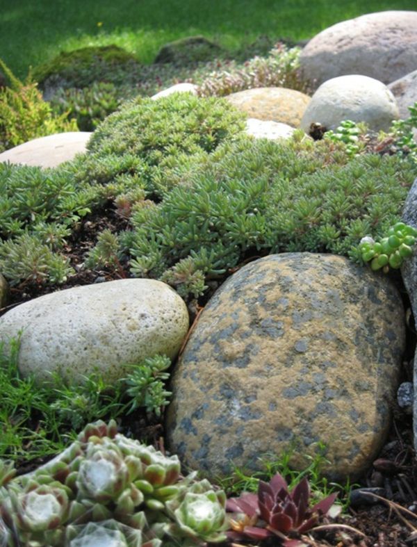 Design moderno jardim com pedras redondas e plantas verdes