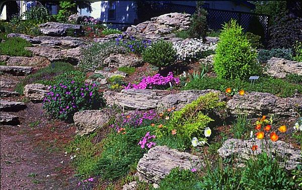 Bahçe fikri - taşlar ve renkli çiçekler