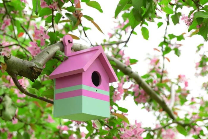 Birdhouses z dreva, maľované ružové a zelené, jarný strom, dekorácie nápady pre šťastnú atmosféru vo vašej záhrade