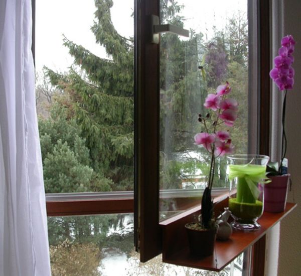 orchidea-window