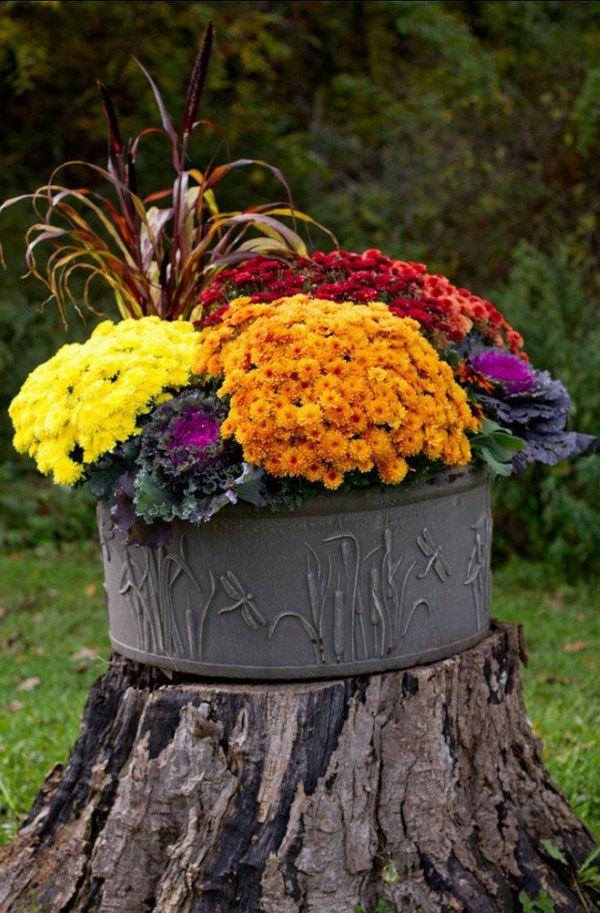 vaso di fiori originale on-the-tronco d'albero