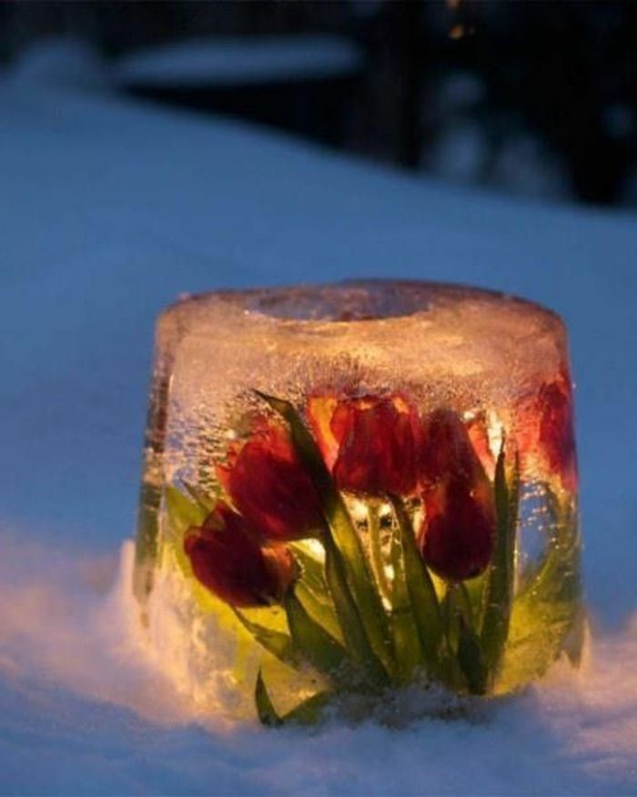 Prvotni zimski okras ideja-led luči zmrznjeno Tulipani ambientalne sveče