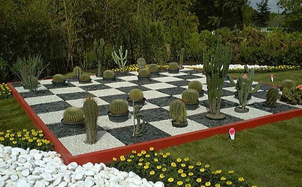 placă de sah - mată mare cu cactus în grădina frumoasă