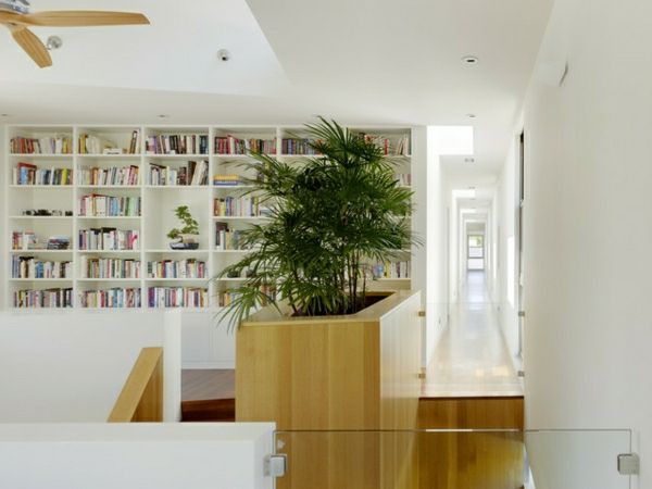palmy v záhrade-tiež-ako-vnútorné-plant-in-the-knižnice-steny v bielom