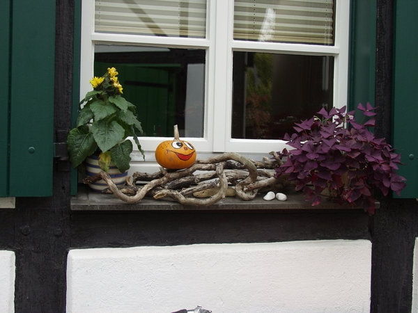 fit-for-herfst