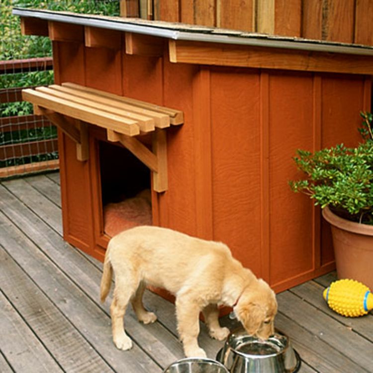 psie chata-v-oranžovo-hnedé-návrhárom najmä-jednoduchý-šik-ušľachtilý
