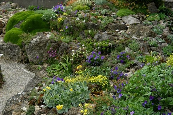 Pedras e plantas no jardim - boas ideias