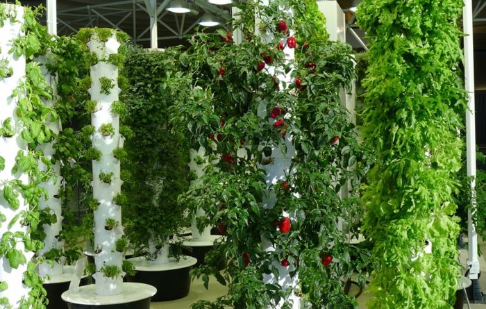 vertikal trädgård med användbara växter som ser väldigt trevligt ut samtidigt