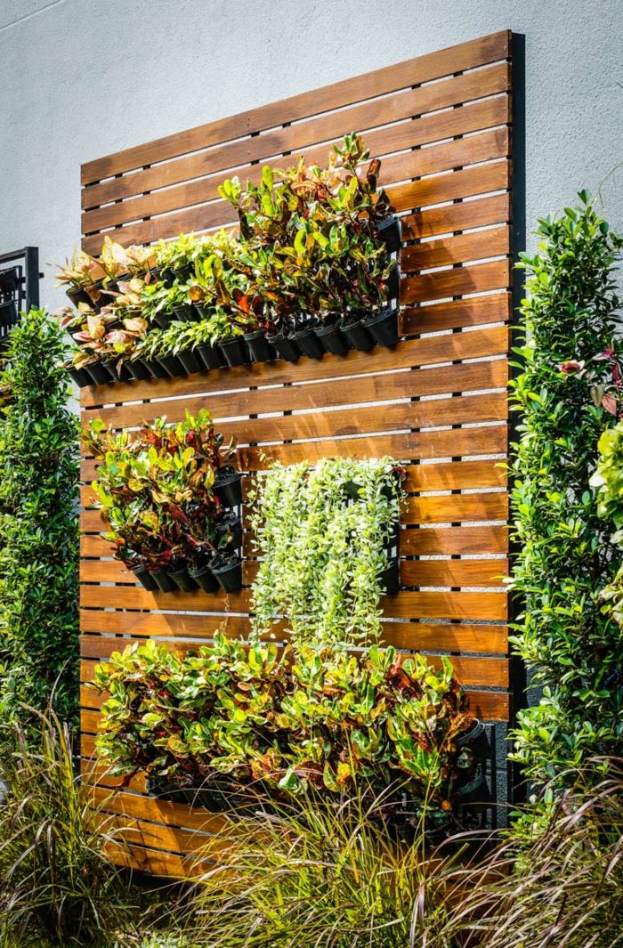 un perete verde plantat pe lemn - o grădină verticală frumoasă