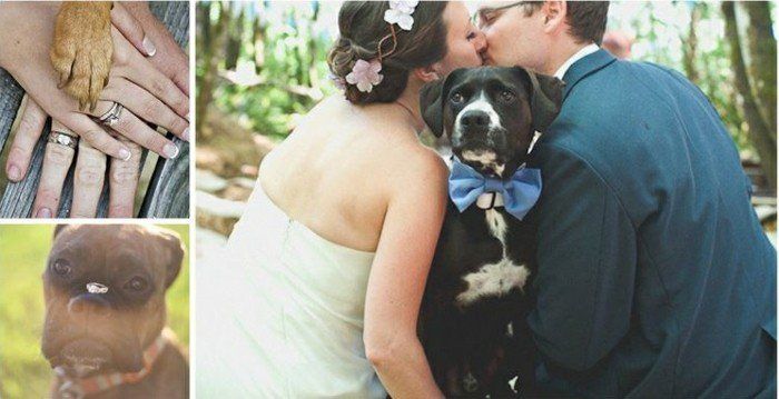 romantična poročna fotografija mi-in-the-dog