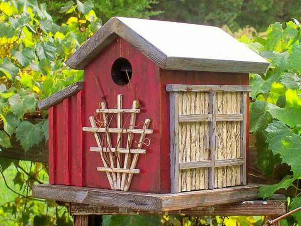 Red Bird alimentazione case-da-Wood Design