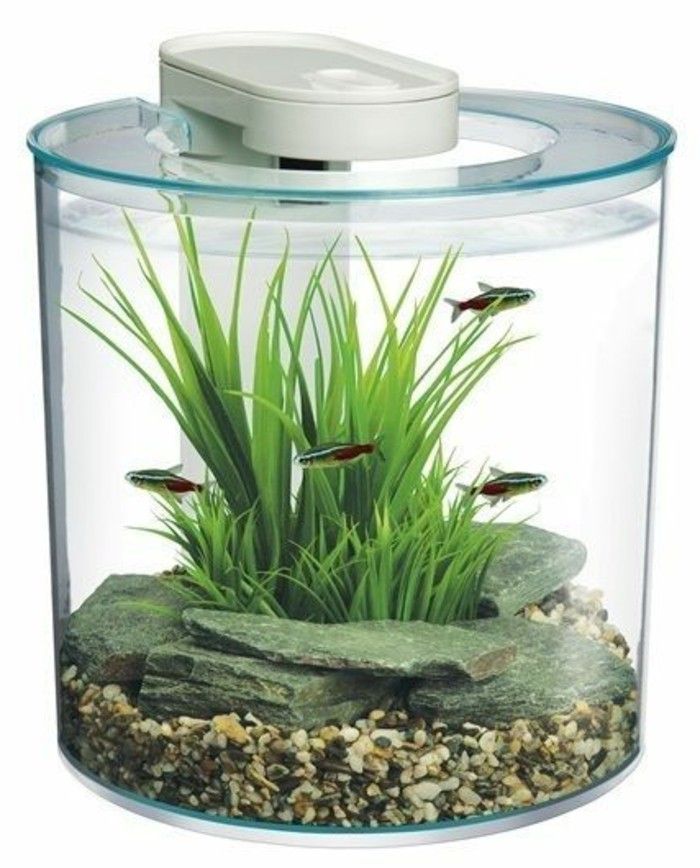 runda litet akvarium-vattenverket stenar-little-fisk akvarium-deco-akvarium-set