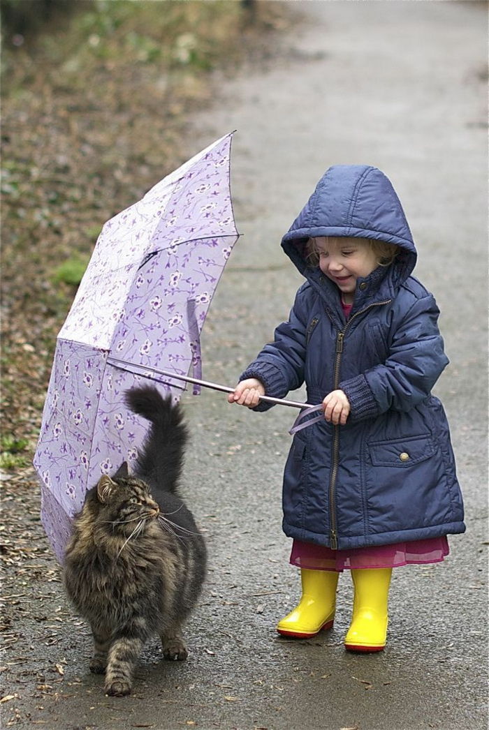 amarelo doce-criança-roxo Siefel Children Cat Umbrella situação engraçada