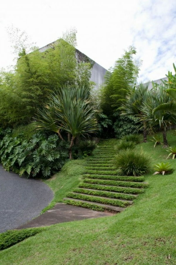 gražus sodas laiptai padengtos žolės