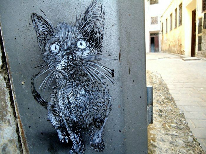 güzel grafiti Kedi komik sevimli