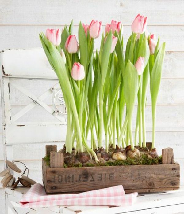 vakre bord dekorasjon-med-rosa-tulipaner