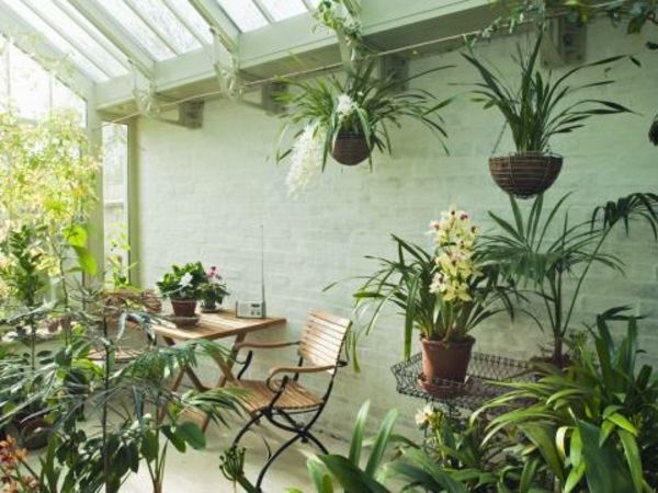 göra nice-plantering conservatory-