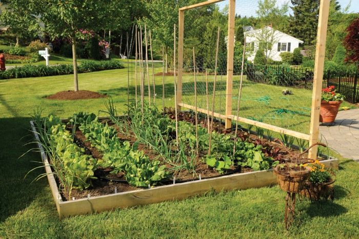 piękne ogrody-Tapety-Modern-ogród-design dla majsterkowiczów