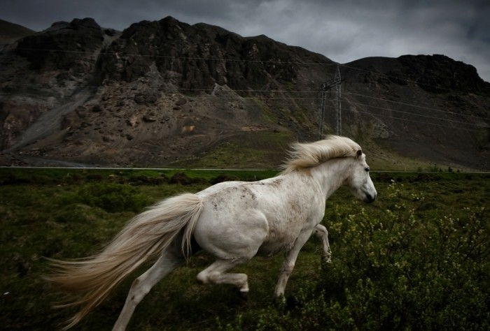 vakker-hest-bilder-the-sjarmerende-beauty-of-hest