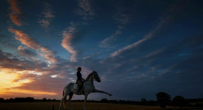 vacker-hästbilder-the-relations mellan-the-man-and-the-häst