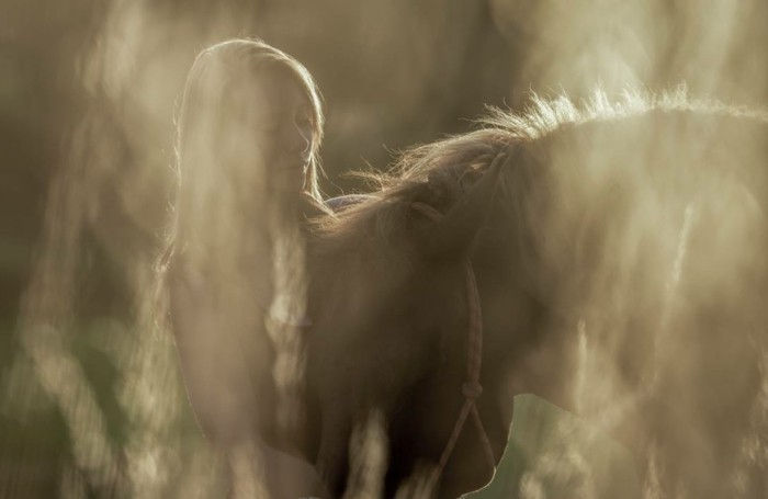 vakker-hest-bilder-the-sterke forholdet mellom-hest og menneske