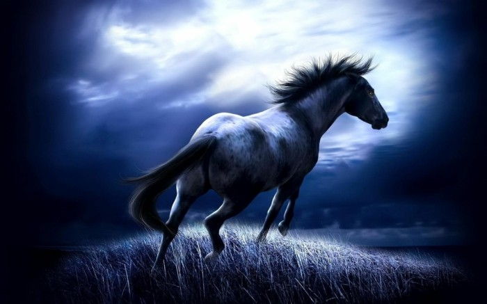 vakker-hest-bilder-a-eksepsjonell hest bilde