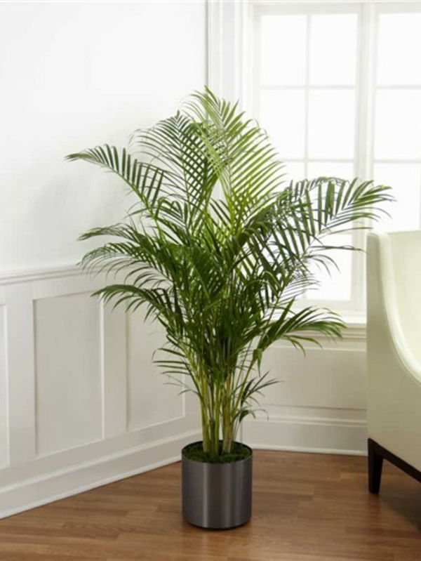 Planta bonita na sala de estar com design branco