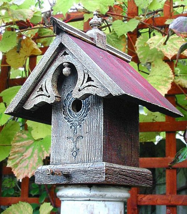 bella casa rivestimento per gli uccelli di legno