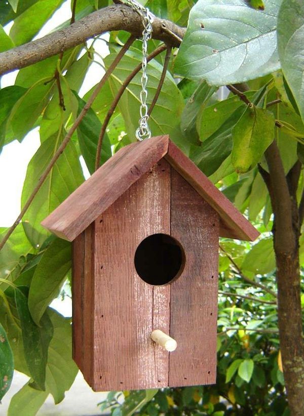 semplici bird-alimentazione case-da-Wood Design