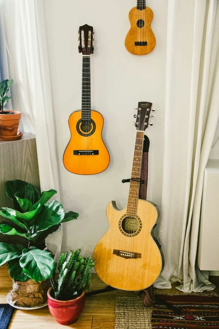 enkel interiör krukväxt gitarr olika storlekar