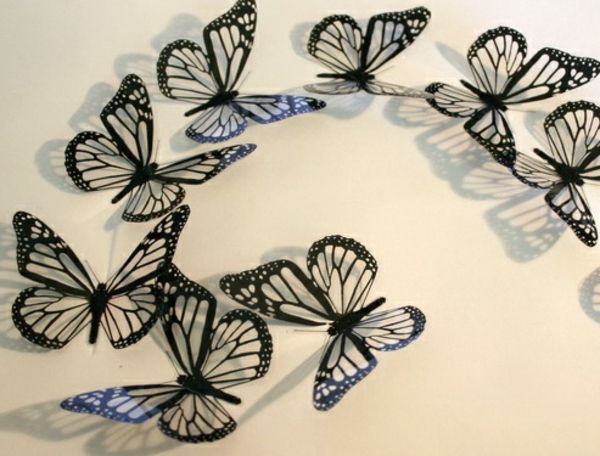 negru-fluture-interesant-perete de proiectare