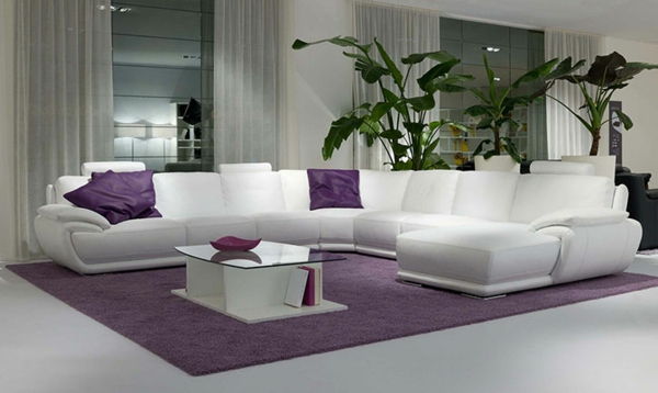 sofos violetinė ant didelės baltos balto sofos baltos vienos užuolaidos