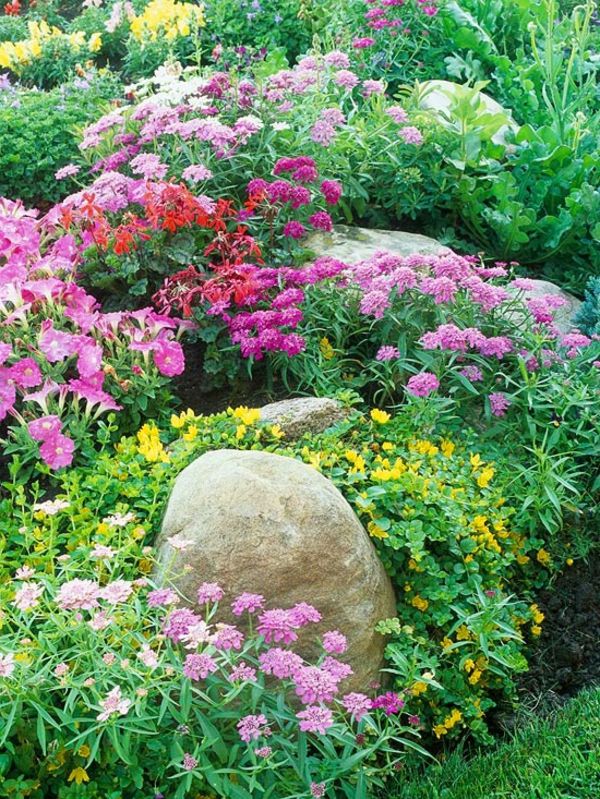 Flores coloridas no lindo jardim de pedras