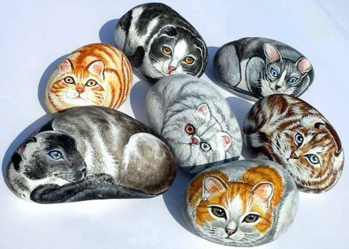 farba kameň-paint-different-cat-on-stones-